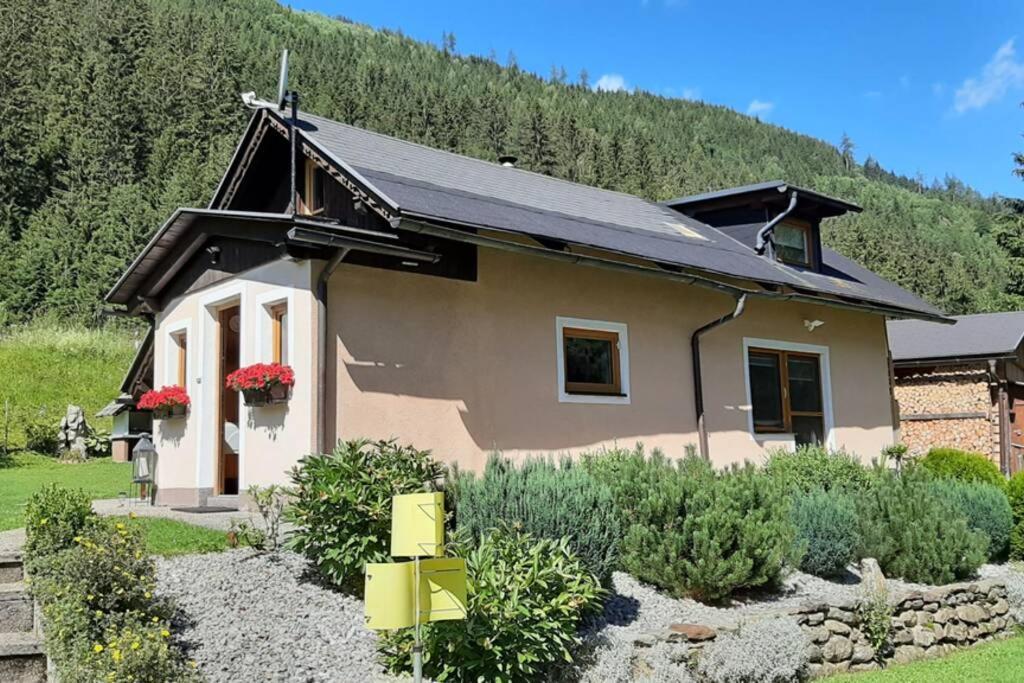 Apartmán Haus Fritz - Erholung In Den Bergen Donnersbachwald Exteriér fotografie