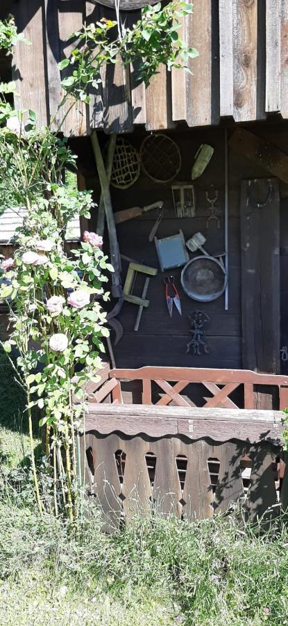 Apartmán Haus Fritz - Erholung In Den Bergen Donnersbachwald Exteriér fotografie