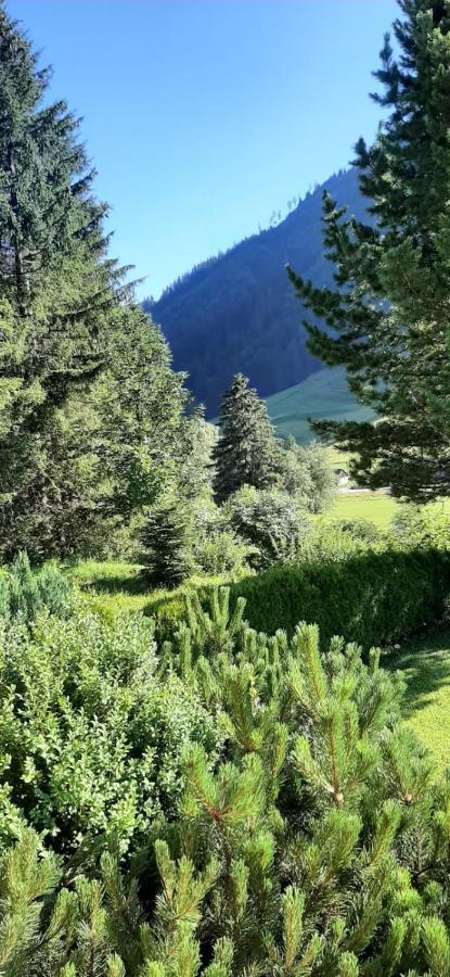Apartmán Haus Fritz - Erholung In Den Bergen Donnersbachwald Exteriér fotografie