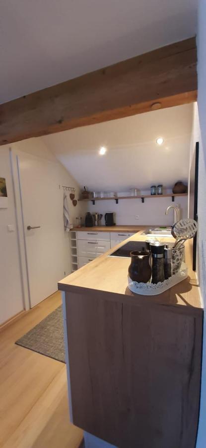 Apartmán Haus Fritz - Erholung In Den Bergen Donnersbachwald Exteriér fotografie