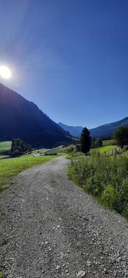 Apartmán Haus Fritz - Erholung In Den Bergen Donnersbachwald Exteriér fotografie
